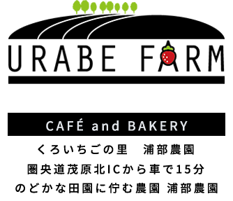 圏央道茂原北ICから車で15分 のどかな田園に佇む農園 浦部農園